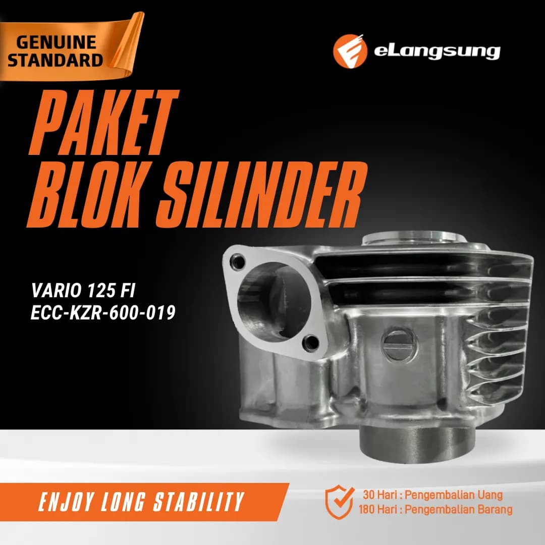Paket Blok Silinder Vario 125 FI
