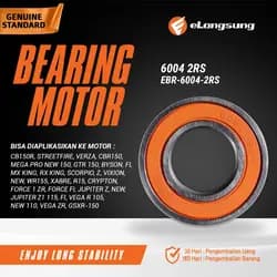 Bearing EBR-6004-2RS
