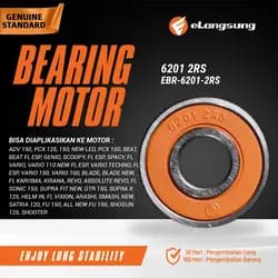 Bearing EBR-6201-2RS
