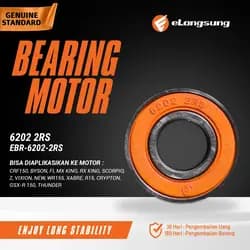 Bearing EBR-6202-2RS