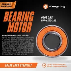 Bearing EBR-6203-2RS