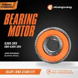 Bearing EBR-6300-2RS