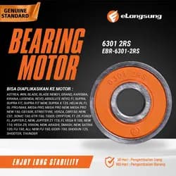 Bearing EBR-6301-2RS