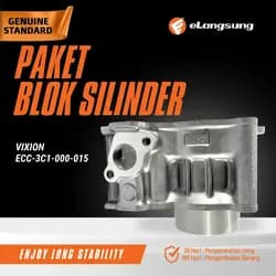 Paket Blok Silinder Vixion