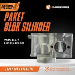 Paket Blok Silinder Vario 150 FI