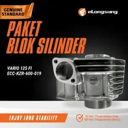 Paket Blok Silinder Vario 125 FI
