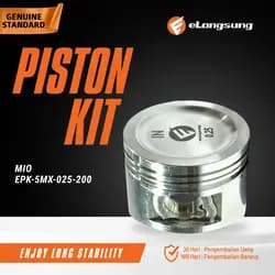 Piston Kit 0.25 Mio