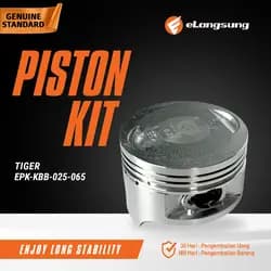 Piston Kit 0.25 Tiger