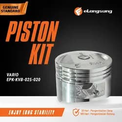Piston Kit 0.25 Vario