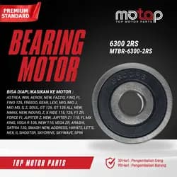 Bearing MTBR-6300-2RS