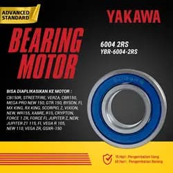Bearing YBR-6004-2RS