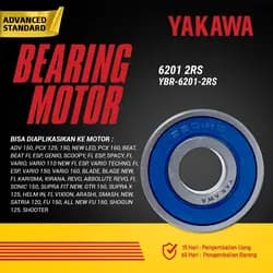 Bearing YBR-6201-2RS
