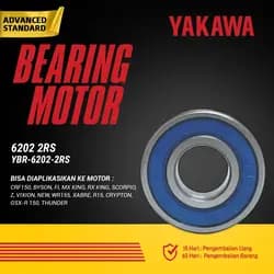 Bearing YBR-6202-2RS