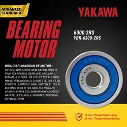 Bearing YBR-6300-2RS