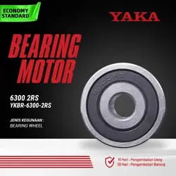 Bearing YKBR-6300-2RS